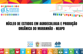 Núcleo de Estudos em Agroecologia e Produção Orgânica do Maranhão na UEMA – NEAPO