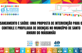 Saneamento e Saúde: Uma proposta de intervenção para o controle e profilaxia de doenças no município de Santo Amaro do Maranhão