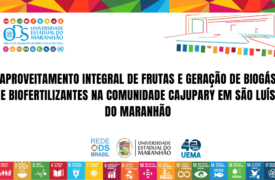 Aproveitamento integral de frutas de geração de biogás e biofertilizantes na comunidade Cajupary em São Luís do Maranhão