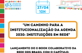 Um caminho para institucionalização da Agenda 2030: instituições em rede