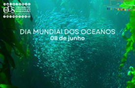 8 de junho dia Mundial dos Oceanos.