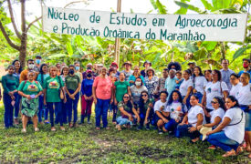 Visita as unidades produtivas do NEAPO abre a 1ª Jornada Decolonial Internacional – Região Foco: O Arco de Regeneração da Amazônia