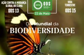 22 de Maio Dia Internacional da Biodiversidade!