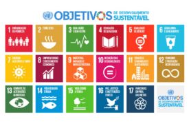 Divulgação — Resultado Preliminar (Edital nº 83/2025-GR/UEMA/RLV/MA – ODS)